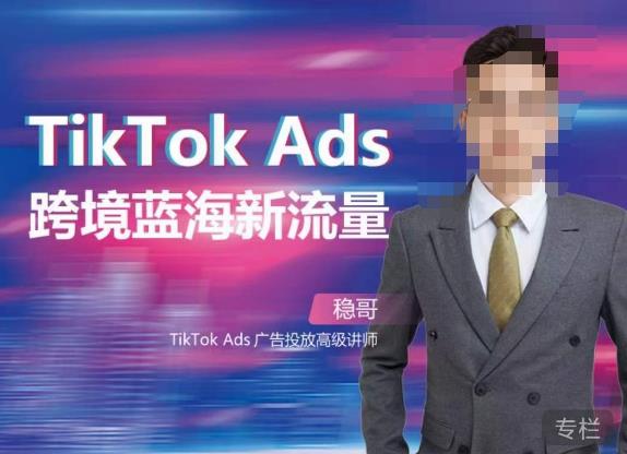 稳哥·如何投出高ROI的TikTok广告，开拓独立站卖家流量新蓝海-辉硕副业