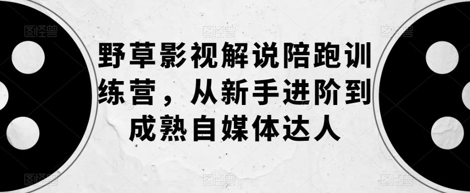 野草影视解说陪跑训练营，从新手进阶到成熟自媒体达人-辉硕副业