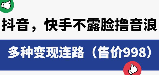 抖音快手不露脸撸音浪项目，多种变现连路（售价998）-辉硕副业