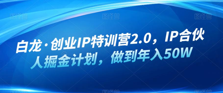 白龙·创业IP特训营2.0，IP合伙人掘金计划，做到年入50W-辉硕副业
