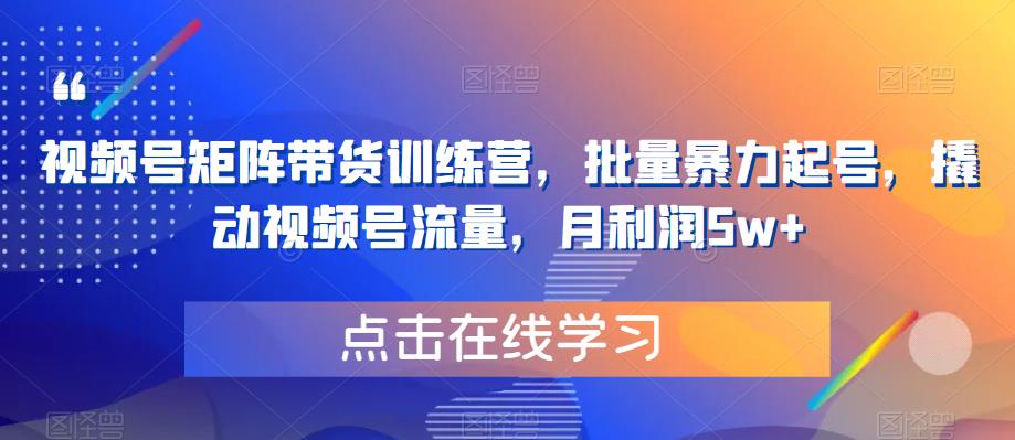视频号矩阵带货训练营，批量暴力起号，撬动视频号流量，月利润5w+-辉硕副业