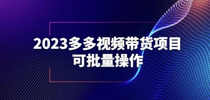 2023多多视频带货项目，可批量操作【保姆级教学】【揭秘】-辉硕副业