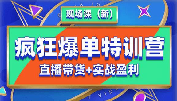 抖音短视频疯狂爆单特训营现场课（新）直播带货+实战案例-辉硕副业