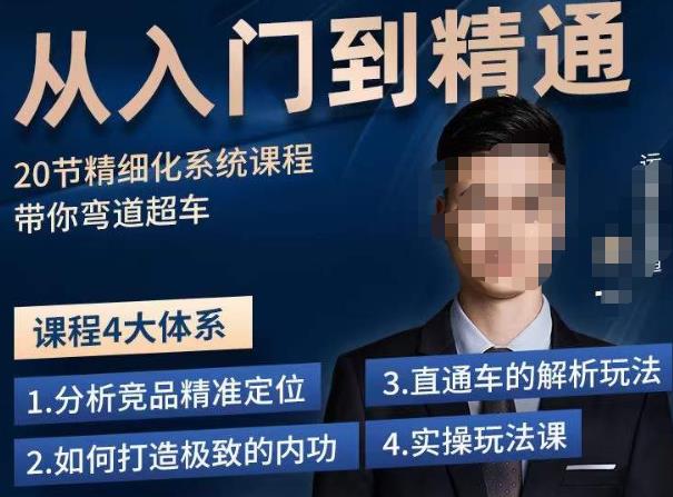 龙一·从入门到精通拼多多运营系列课，0-100的运营实操技巧，精细化系列课程带你弯道超车-辉硕副业