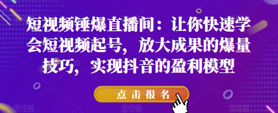 短视频锤爆直播间：让你快速学会短视频起号，放大成果的爆量技巧，实现抖音的盈利模型-辉硕副业