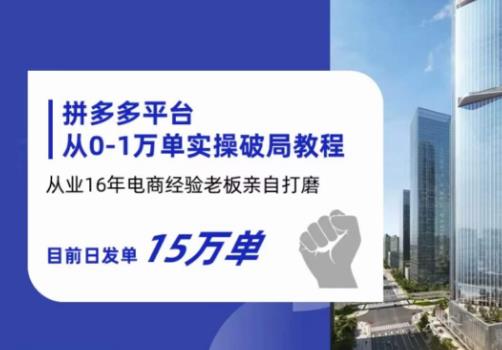 拼多多从0-1万单实操破局教程，从业16年电商经验打磨，目前日发单15万单-辉硕副业