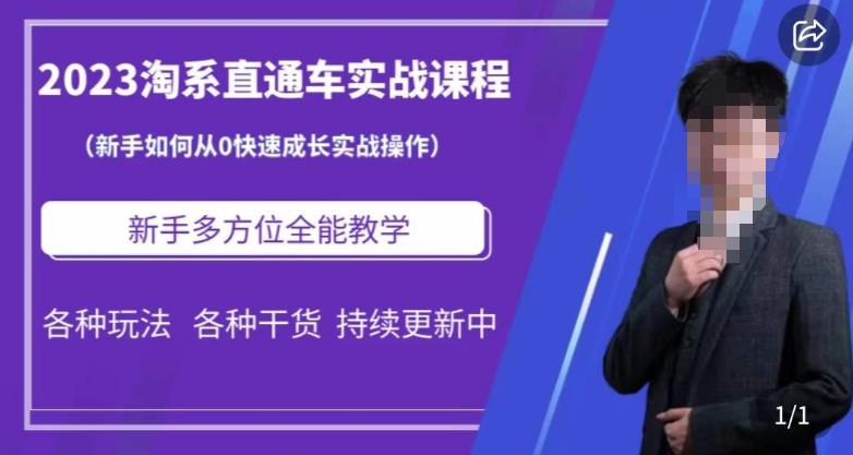 2023淘系直通车保姆式运营讲解，新手如何从0快速成长实战操作，新手多方位全能教学-辉硕副业
