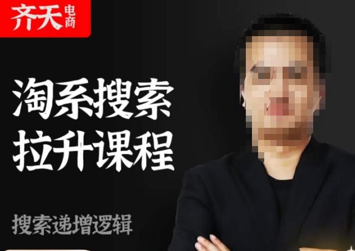 齐天电商·淘系搜索提升课程，​搜索递增标准化，动销标准化流程-辉硕副业