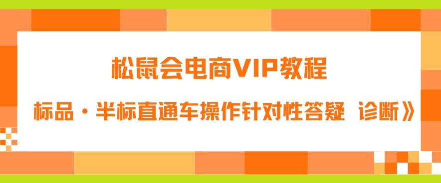 松鼠会电商VIP教程：松鼠《付费推广标品·半标直通车操作针对性答疑&诊断》-辉硕副业
