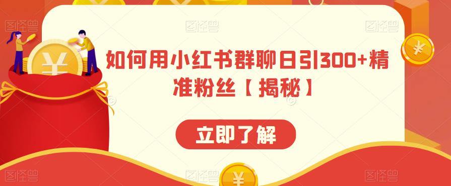 如何用小红书群聊日引300+精准粉丝【揭秘】-辉硕副业