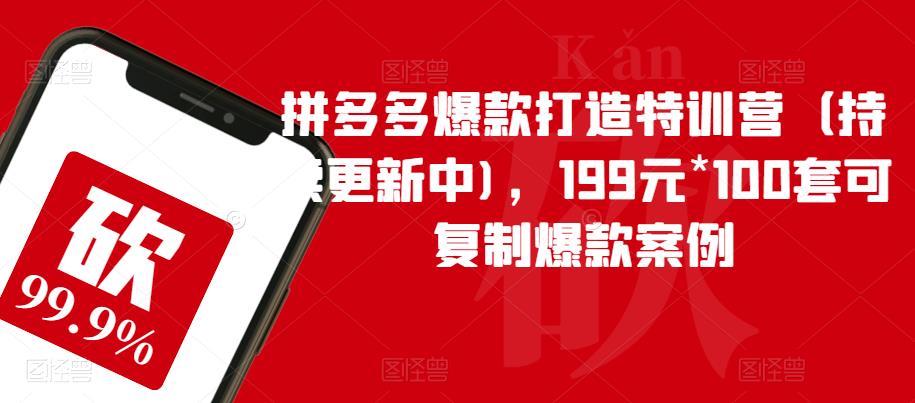 拼多多爆款打造特训营（持续更新中)，199元*100套可复制爆款案例-辉硕副业