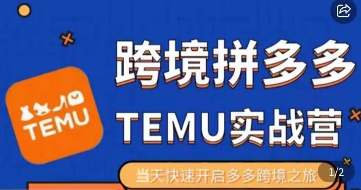 大鹏出海·拼多多跨境temu运营指导，开店注册+选品+核价上架，日出千单实战课-辉硕副业