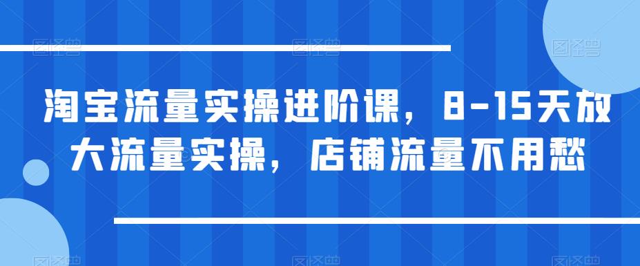 淘宝流量实操进阶课，8-15天放大流量实操，店铺流量不用愁-辉硕副业