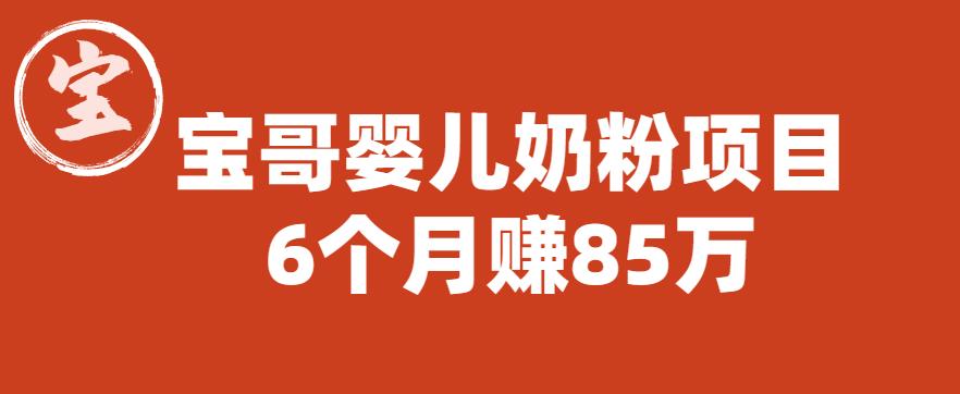 宝哥婴儿奶粉项目，6个月赚85w【图文非视频】【揭秘】-辉硕副业