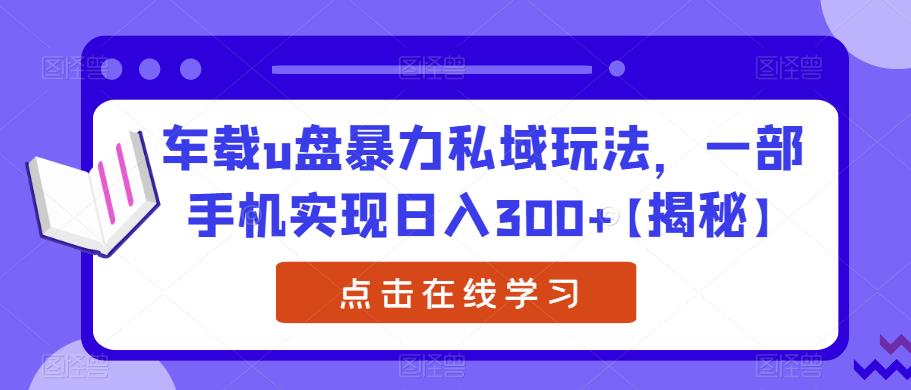 车载u盘暴力私域玩法，一部手机实现日入300+【揭秘】-辉硕副业
