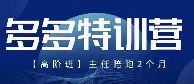 纪主任·5月最新多多特训营高阶班，玩法落地实操，多多全掌握-辉硕副业