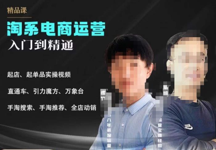 2023手淘搜索实操课+体系化课程，​起店起单品实操视频课程-辉硕副业