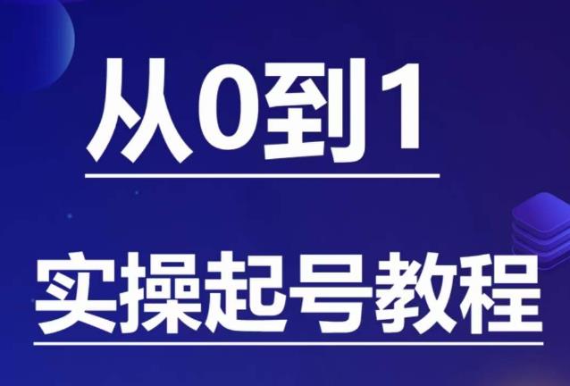 石野·小白起号实操教程，​掌握各种起号的玩法技术，了解流量的核心-辉硕副业