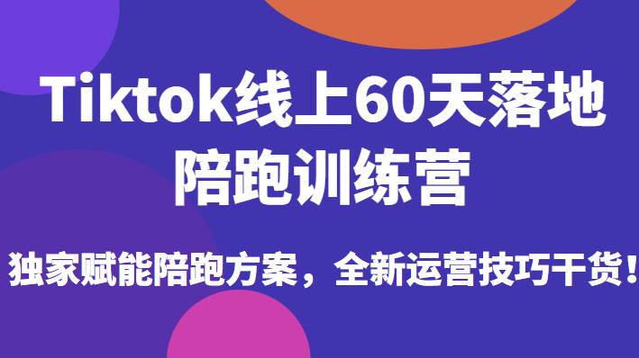 Tiktok线上60天落地陪跑训练营，独家赋能陪跑方案，全新运营技巧干货-辉硕副业
