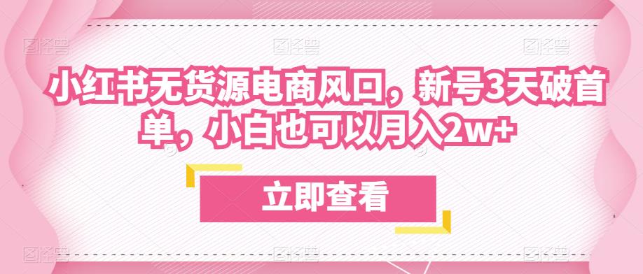 众狼电商余文小红书无货源电商风口，新号3天破首单，小白也可以月入2w+-辉硕副业