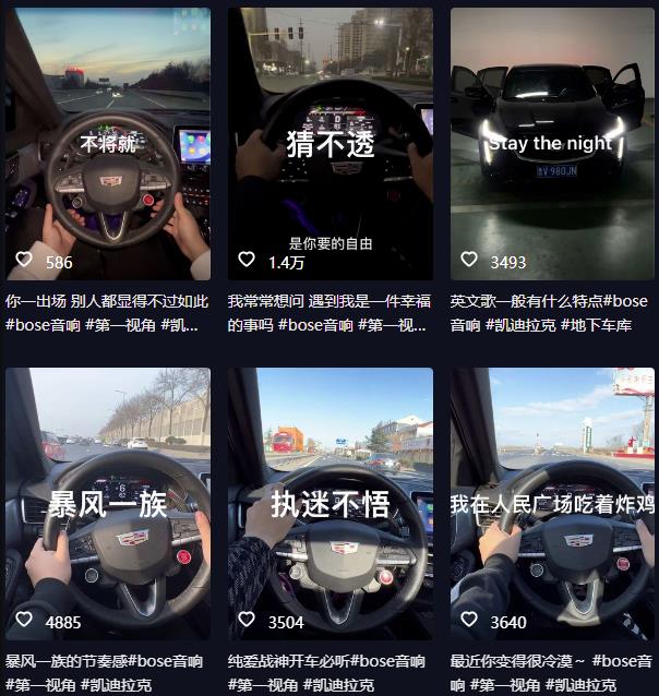 抖音开车视频项目，0基础操作，每天五分钟，月入1W+【揭秘】-辉硕副业