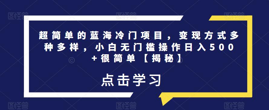 超简单的蓝海冷门项目，变现方式多种多样，小白无门槛操作日入500+很简单【揭秘】-辉硕副业