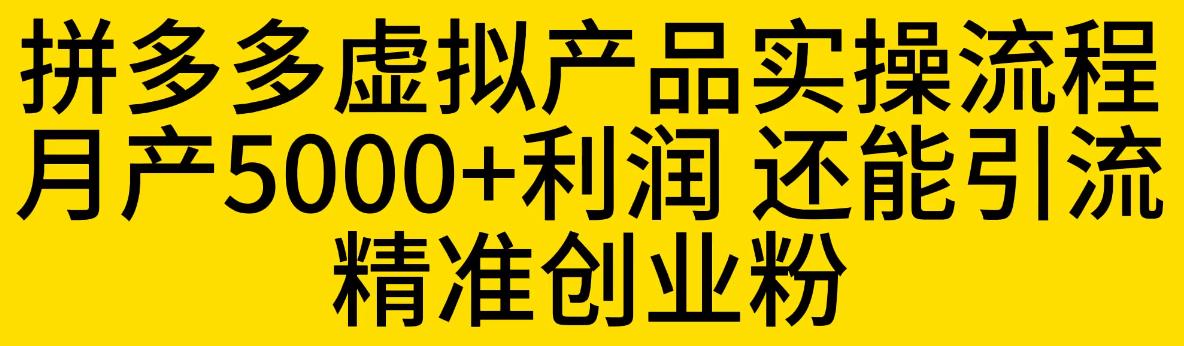 拼多多虚拟产品实操流程，月产5000+利润，还能引流精准创业粉【揭秘】-辉硕副业