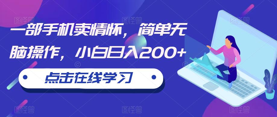 一部手机卖情怀，简单无脑操作，小白日入200+【揭秘】-辉硕副业