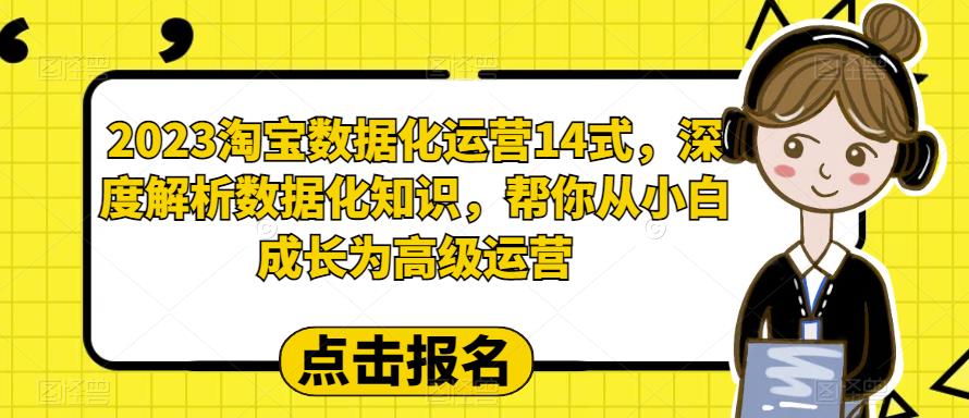 2023淘宝数据化运营14式，深度解析数据化知识，帮你从小白成长为高级运营-辉硕副业