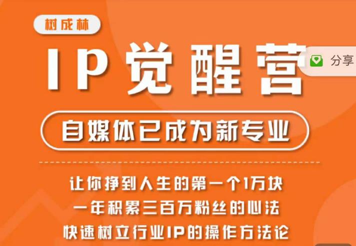 树成林·IP觉醒营，快速树立行业IP的操作方法论，让你赚到人生的第一个1万块-辉硕副业