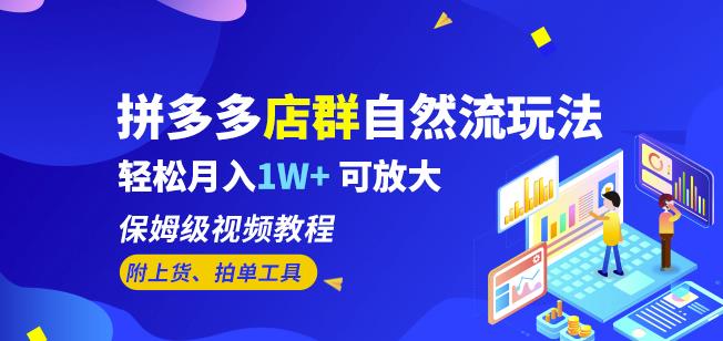 拼多多店群自然流玩法，轻松月入1W+保姆级视频教程（附上货、拍单工具）-辉硕副业