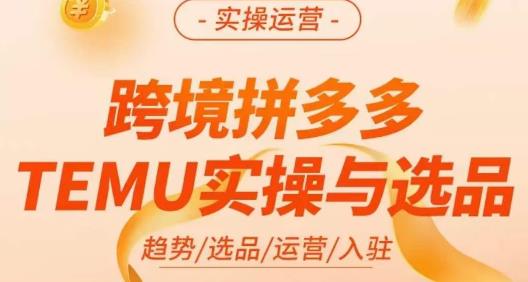 伍跃·跨境拼多多TEMU实操与选品，​趋势/选品/运营/入住（27节完整）-辉硕副业