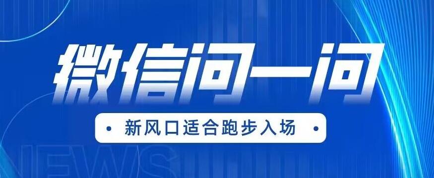 全网首发微信问一问新风口变现项目（价值1999元）【揭秘】-辉硕副业