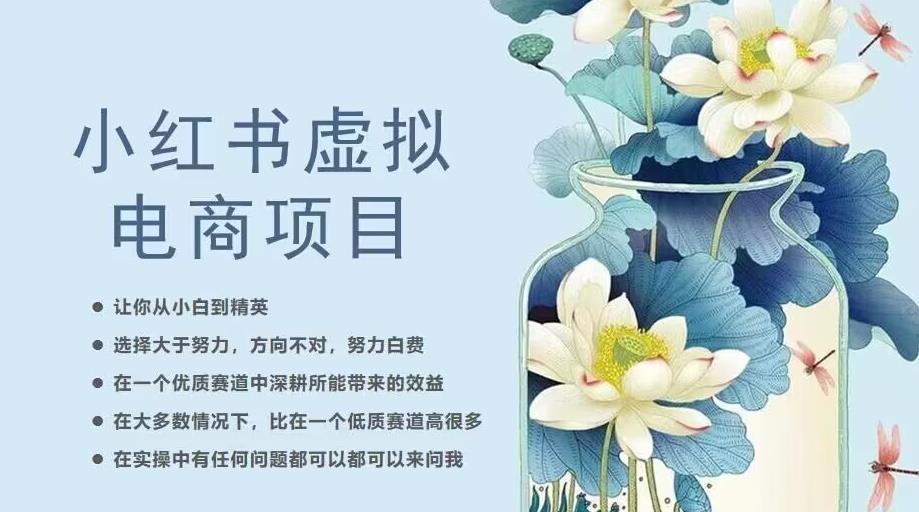 小红书虚拟电商从0到1，让你从小白到精英（20节实操课程）-辉硕副业