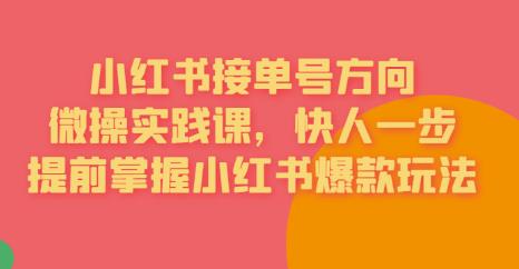 接单号方向·小红书微操实践课，快人一步，提前掌握小红书爆款玩法-辉硕副业