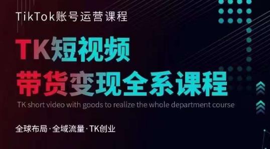 Tiktok运营线上训练营，引流爆单，急速涨粉，Tiktok短视频玩法大揭秘-辉硕副业