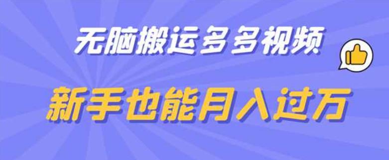 无脑搬运多多视频，新手也能月入过万【揭秘】-辉硕副业