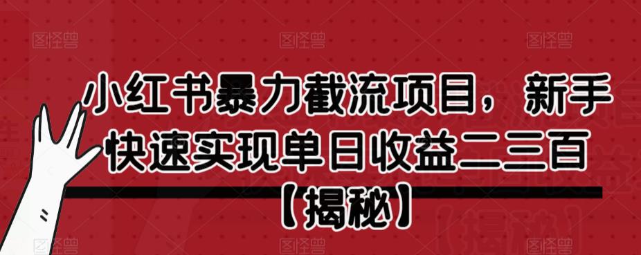 小红书暴力截流项目，新手快速实现单日收益二三百【仅揭秘】-辉硕副业