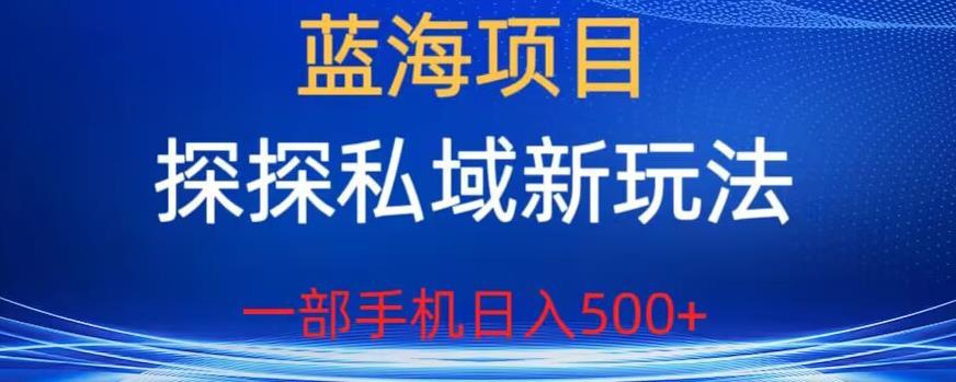 蓝海项目，探探私域新玩法，一部手机日入500+很轻松【揭秘】-辉硕副业
