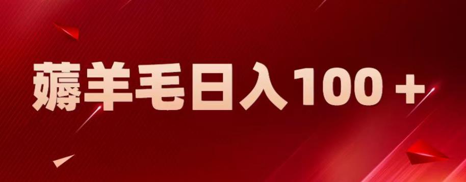 新平台零撸薅羊毛，一天躺赚100＋，无脑复制粘贴【揭秘】-辉硕副业