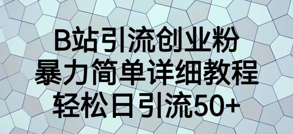 B站引流创业粉，暴力简单详细教程，轻松日引流50+【揭秘】-辉硕副业