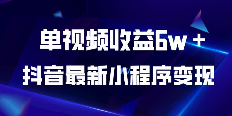 抖音最新小程序变现项目，单视频收益6w＋，小白可做【揭秘】-辉硕副业