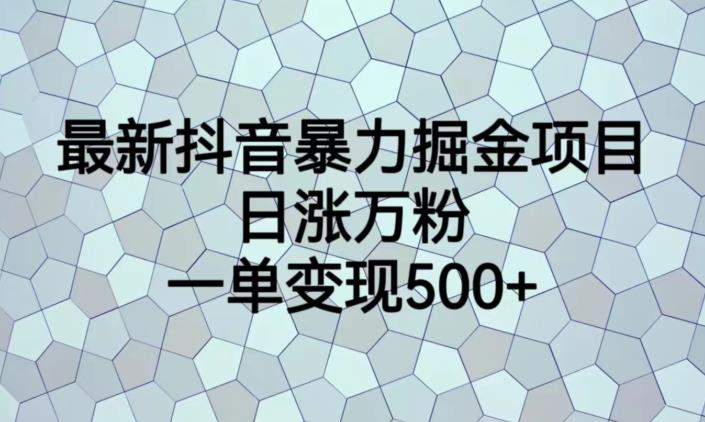 最新抖音暴力掘金项目，日涨万粉，一单变现500+【揭秘】-辉硕副业