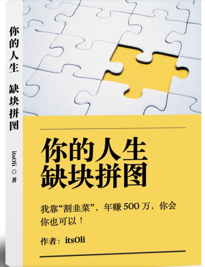 某高赞电子书《你的人生，缺块拼图——我靠“割韭菜”，年赚500万，你会你也可以》-辉硕副业