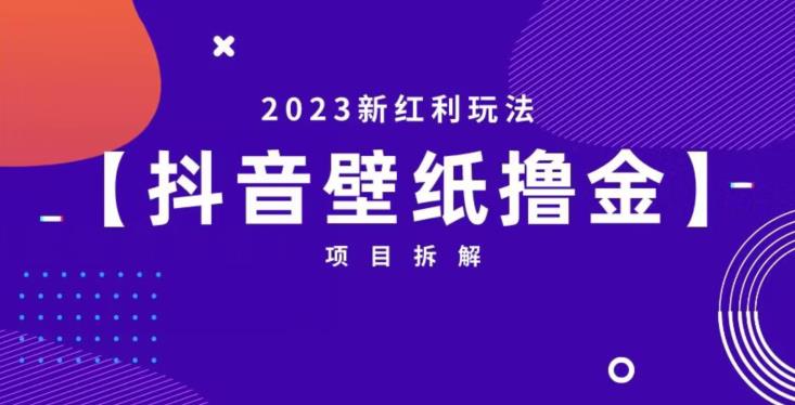 抖音壁纸小程序创作者撸金项目，2023新红利玩法【项目拆解】-辉硕副业