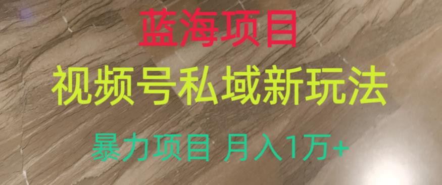 蓝海项目，视频号私域新玩法，暴力项目月入1万+【揭秘】-辉硕副业