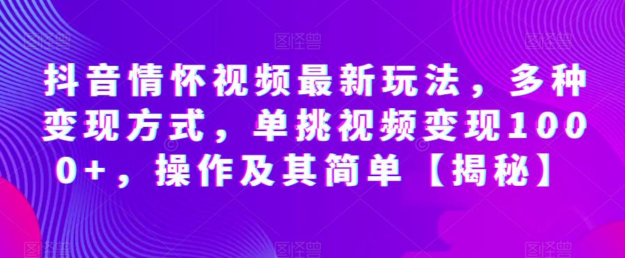 抖音情怀视频最新玩法，多种变现方式，单挑视频变现1000+，操作及其简单【揭秘】-辉硕副业