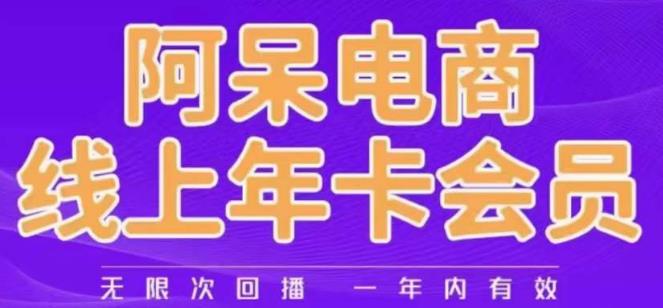阿呆电商线上年会员，阿呆电商干货分享（更新中）-辉硕副业