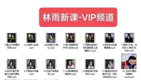 林雨新课VIP频道，玩赚私域/朋友圈/社群-辉硕副业