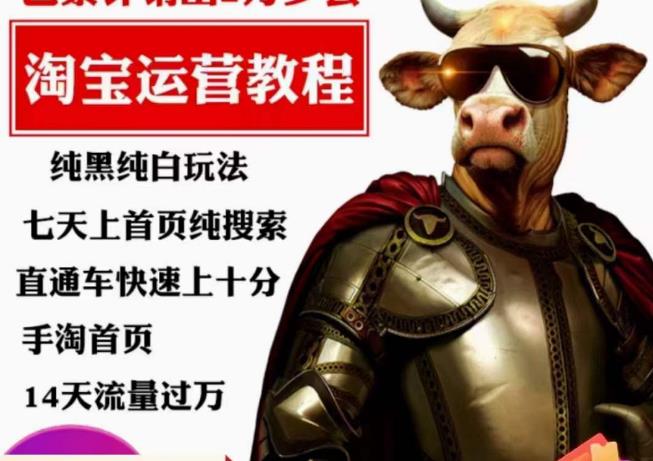 猫老师·淘系算法逆向解密，​纯黑纯白玩法，七天上首页纯搜索，手淘首页14天流量过万-辉硕副业